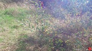 ���పరిచితుడు ఇబ్బంది పెట్టాడు క్యాట్ వుమన్ నోరు తరువాత ధ్యానం అటవీ